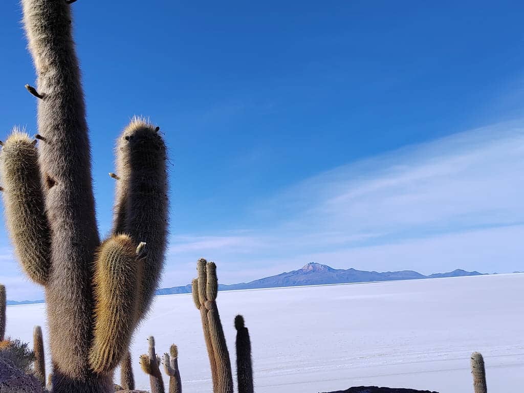 salar de uyuni tour 1