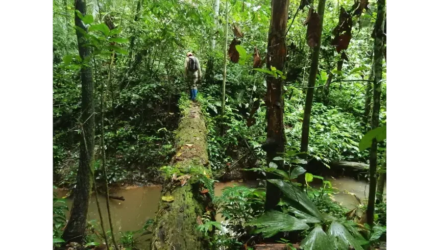 Madidi National Park-Full Day